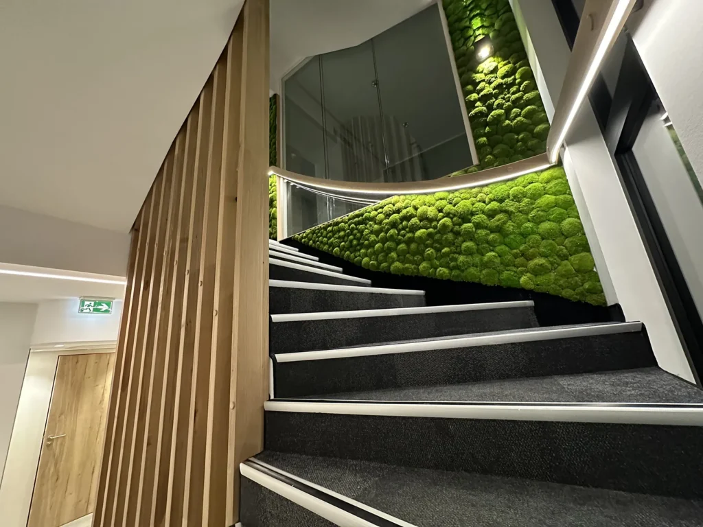 amenagement pro EckertImmo12