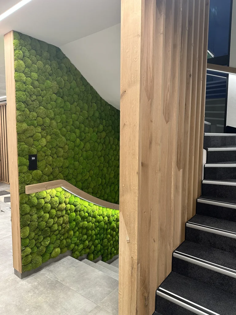 amenagement pro EckertImmo13