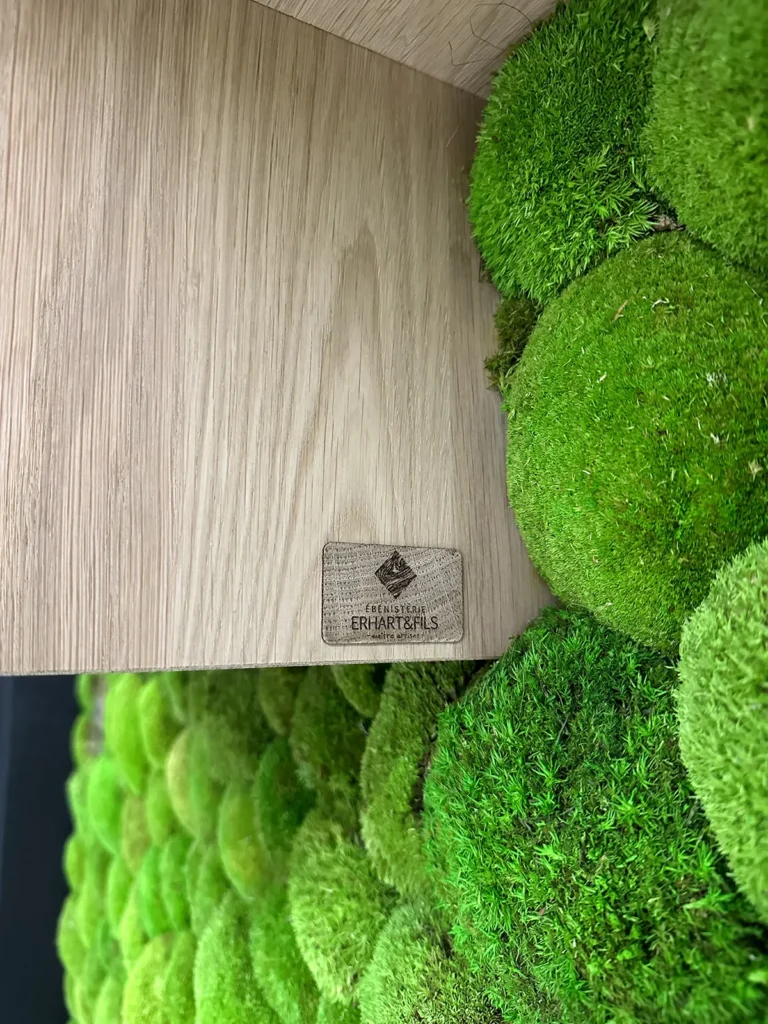 amenagement pro EckertImmo14