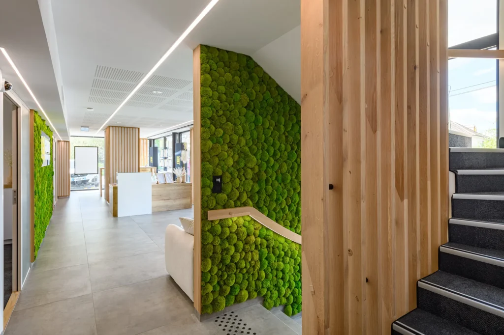 amenagement pro EckertImmo20