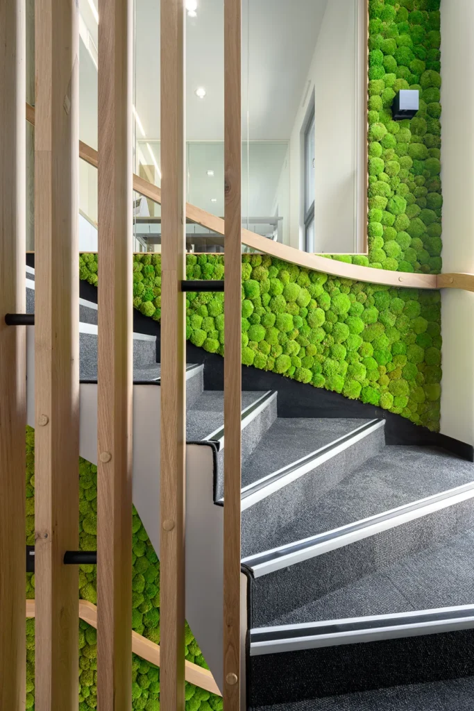 amenagement pro EckertImmo21