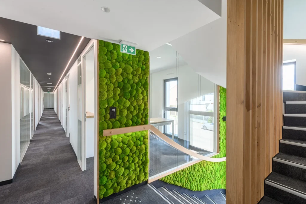 amenagement pro EckertImmo22