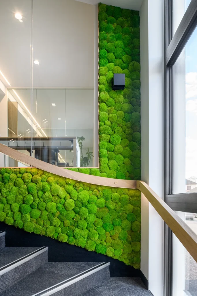 amenagement pro EckertImmo25