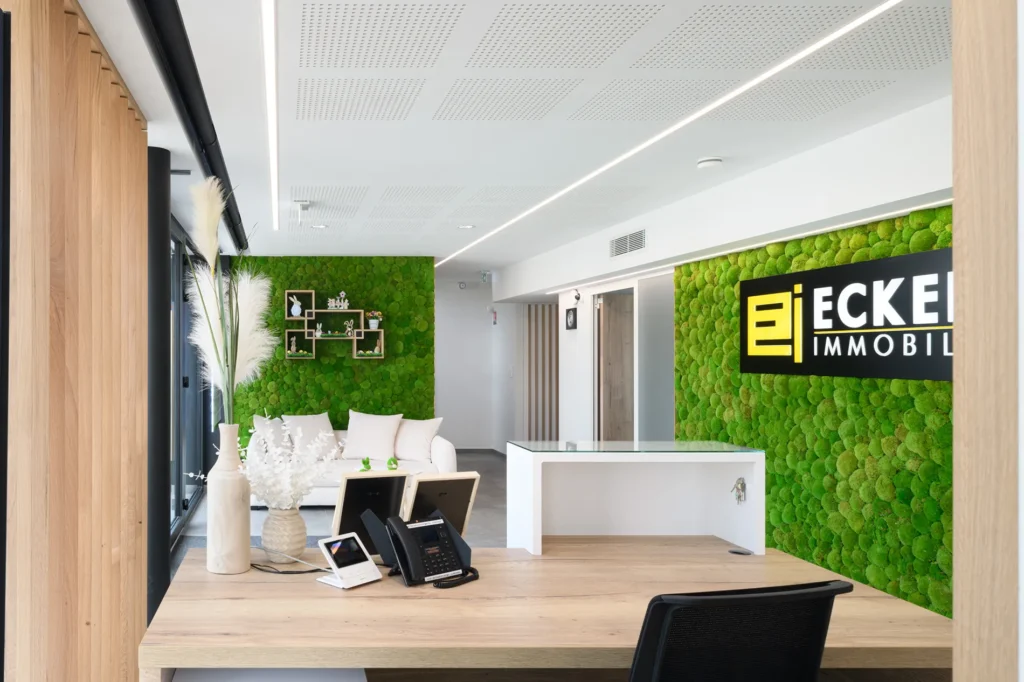 amenagement pro EckertImmo32